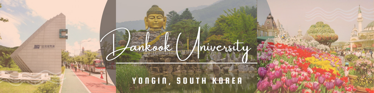 Programs > Center for International Programs